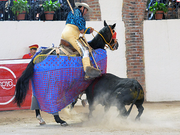 El novillo que pele� mejor