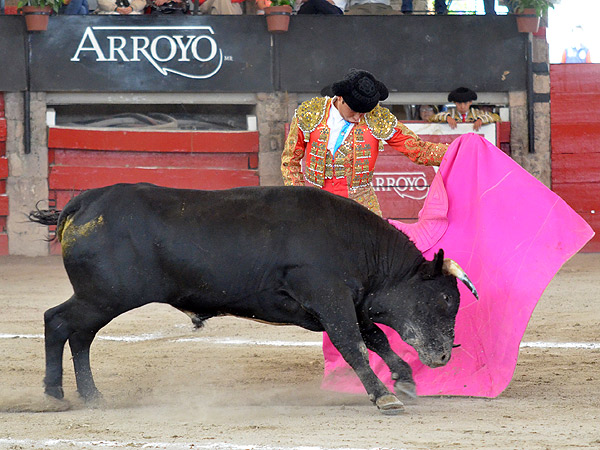 Pastor se nota puesto
