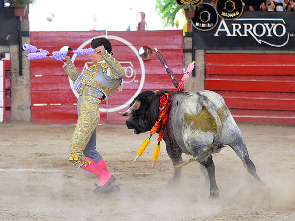 Galleando con alegr�a