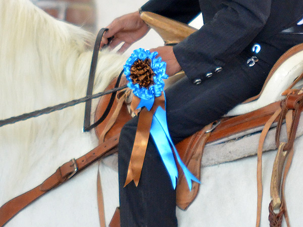 Los colores de La Antigua