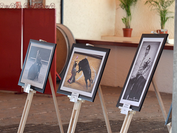 La exposici�n de Daniela Magdaleno