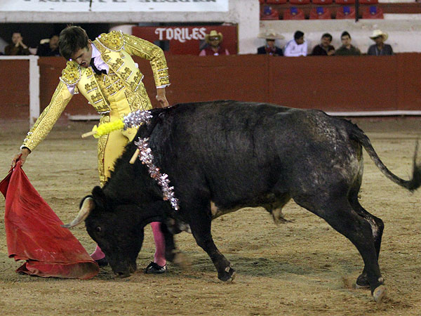 Calidad en la embestida