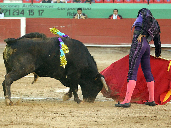 Un ejemplar extraordinario