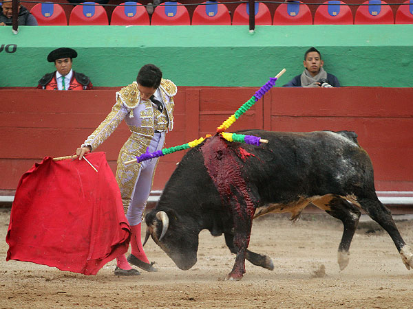 Un torero que apunta a lo bueno