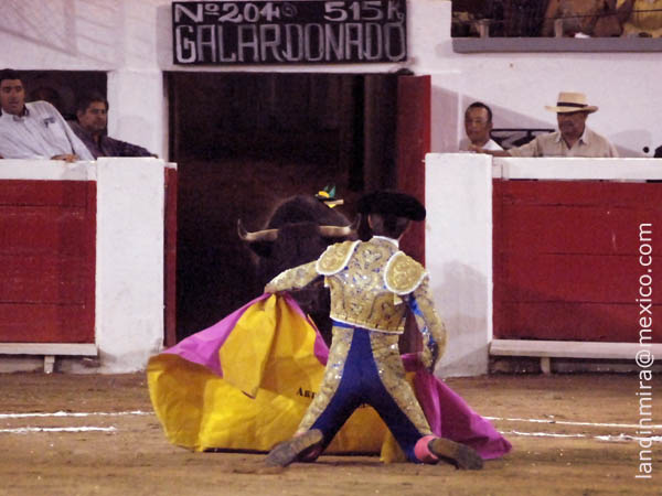 Por nada se va a dejar