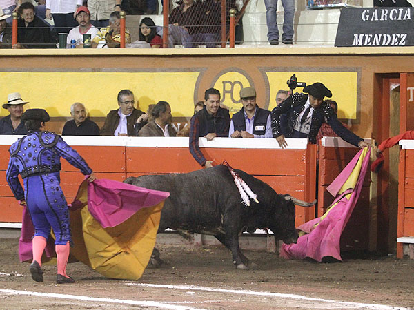 De vuelta al campo bravo