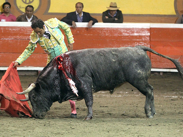 Gran toro bien toreado