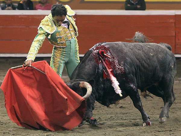 Disfrutando la embestida