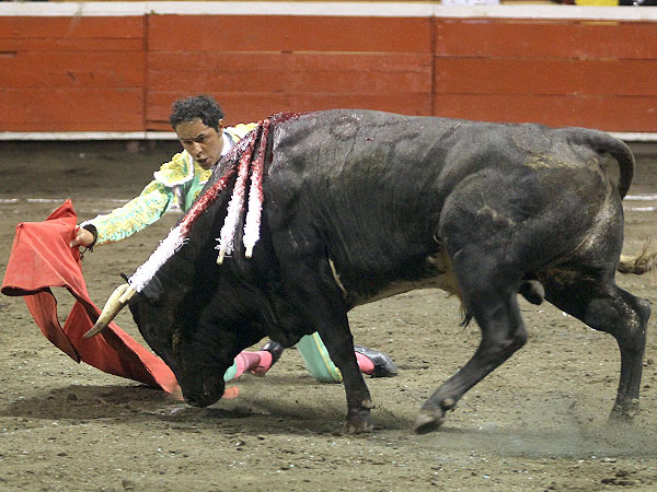 Disposici�n y voluntad