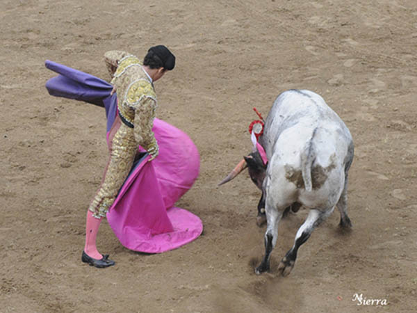 El saludo de Andr�s