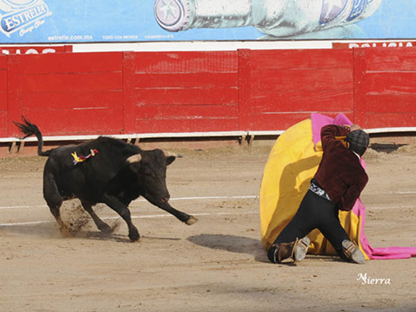 Capote de Rom�n Mart�nez