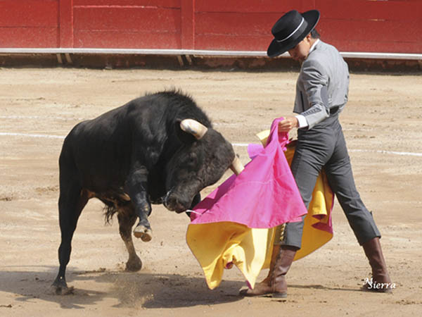 Turno de Patricio Ochoa