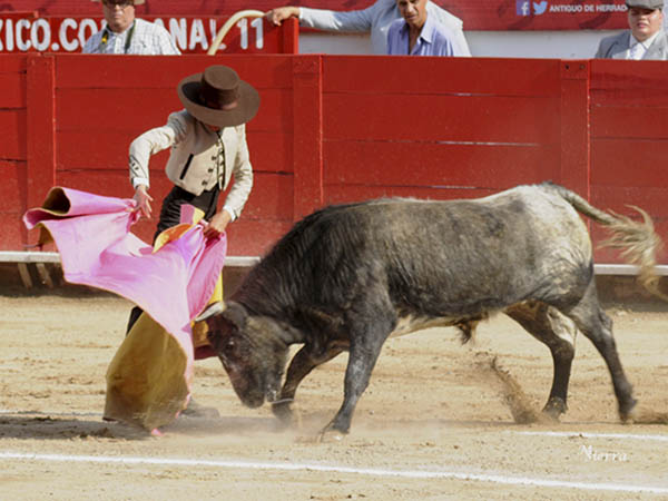 Media con sello tapat�o