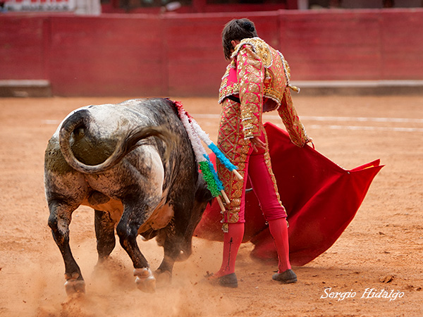 Buscando hacer faena