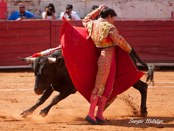 Siempre tratando de agradar