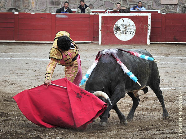 Exprimi� lo que tra�a el ejemplar