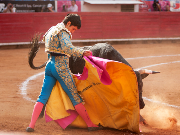 Probando la embestida