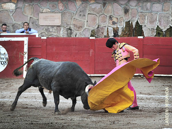 En los vuelos del capote