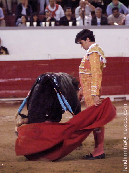 Evocando al Rey David