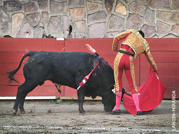 Enganchado de la pantorrilla