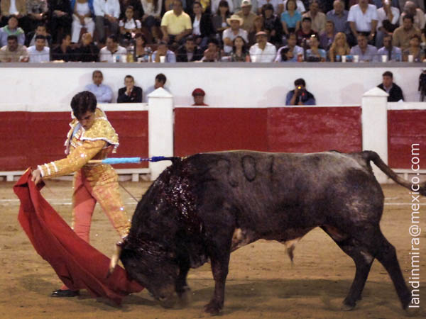 Remate de terciopelo