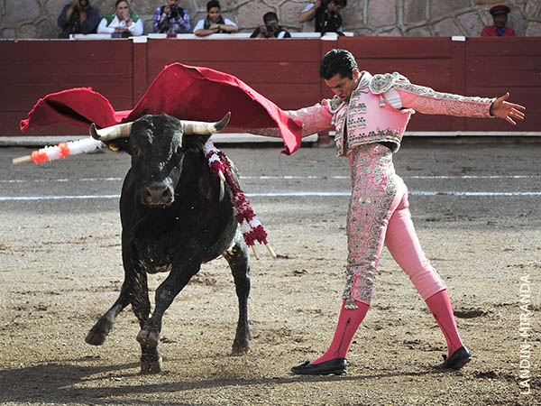 Abrochando la primera tanda