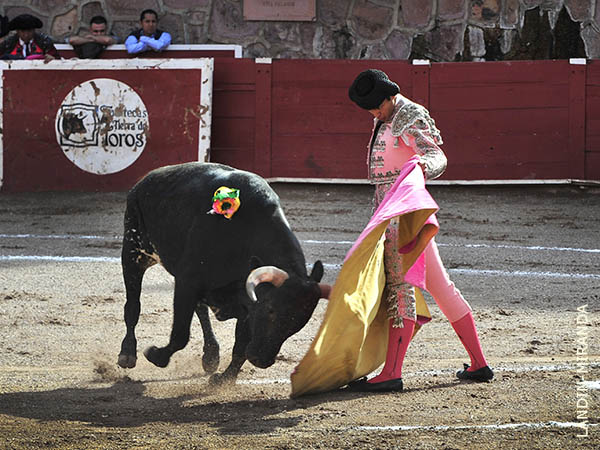 Jorge Rizo a la ver�nica