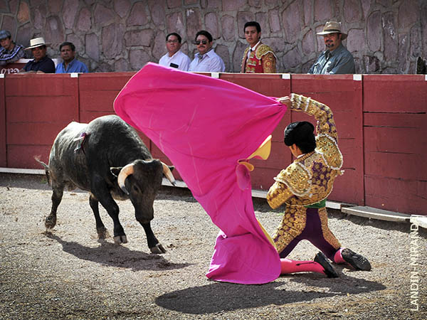 Edgar abre la novillada