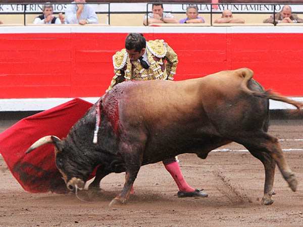 Por el pit�n derecho