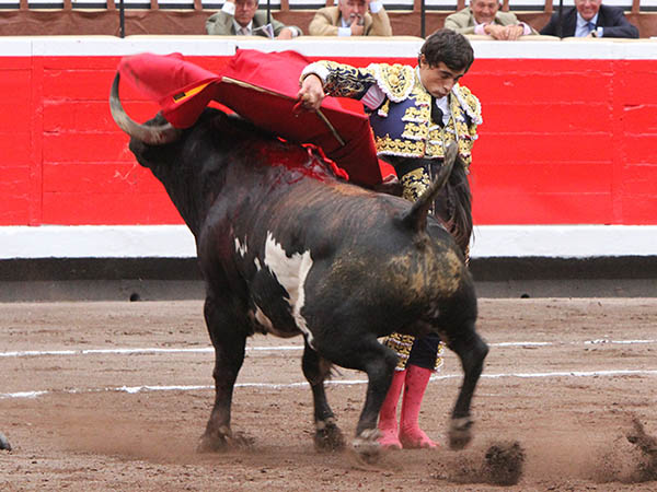 Bernadinas al jir�n