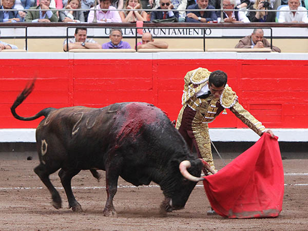 Tirando del ejemplar