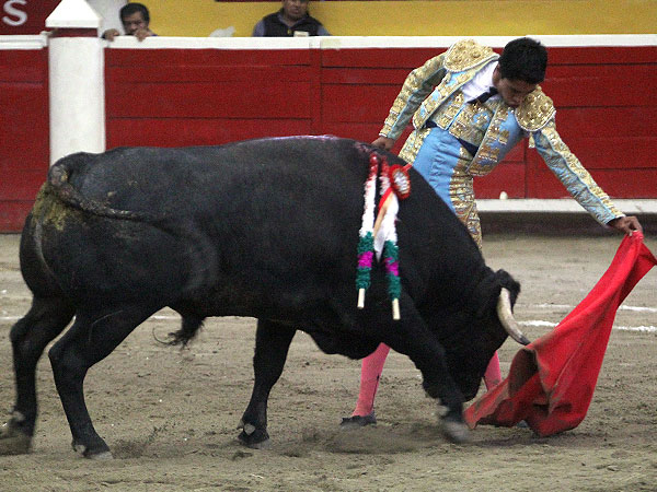 Flores con el cierraplaza