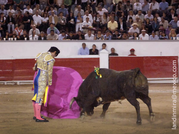 Ver�nicas de Arturo