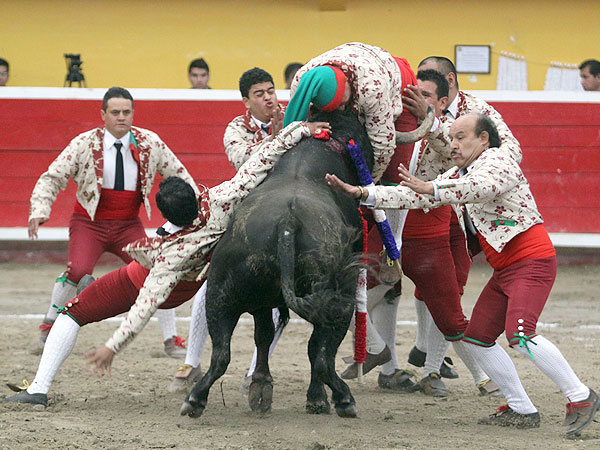 Los valientes Forcados de Puebla