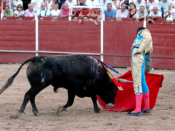 As� de bien tore� Diego