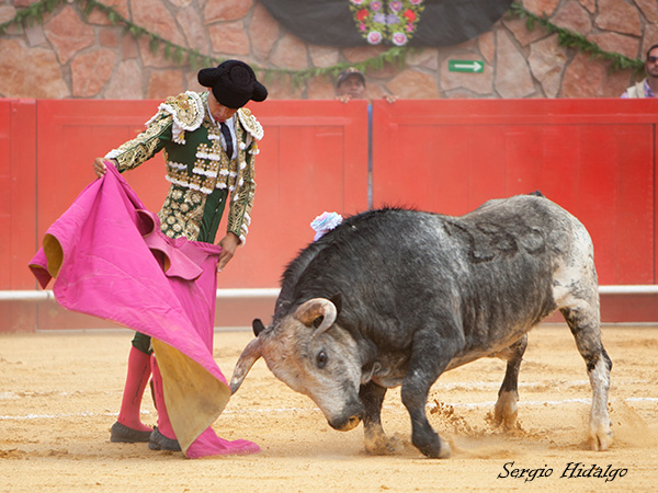 Toreando a la ver�nica