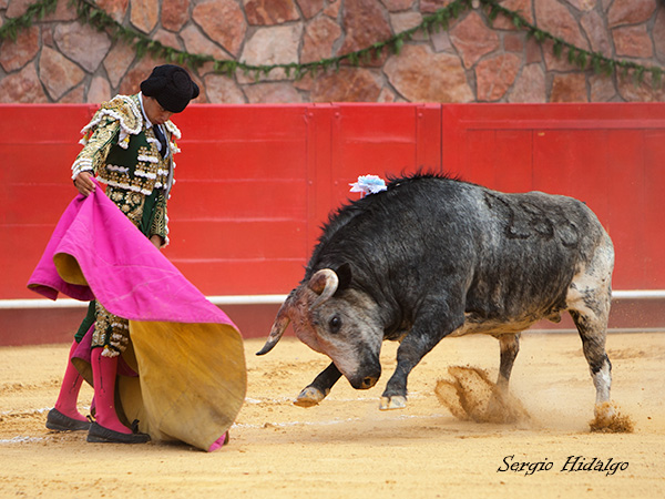 Aguantando la embestida