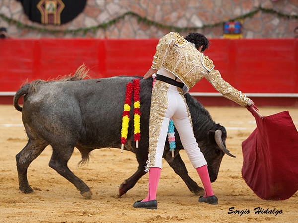 Haciendo su mejor esfuerzo