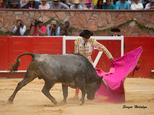 Reconocimiento al esfuerzo