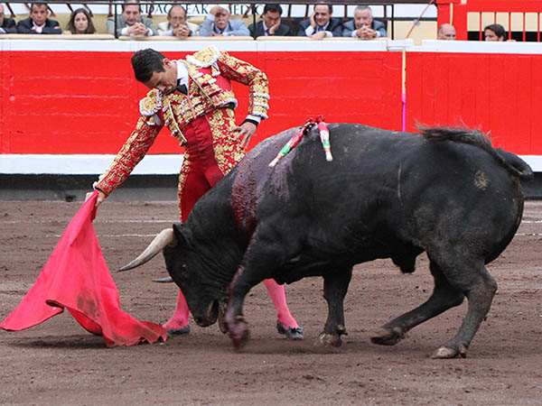 Con determinaci�n y mando