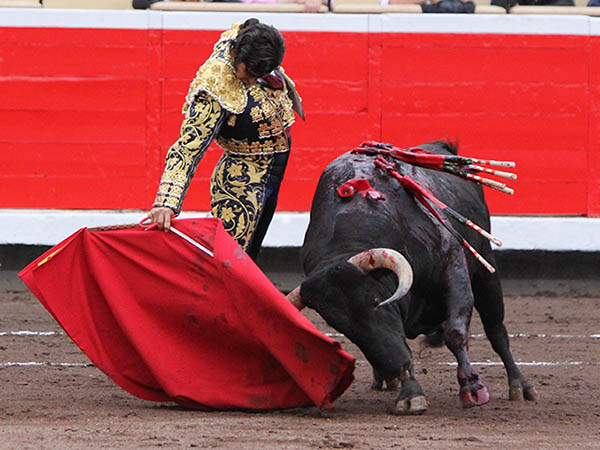 La barbilla en el pecho