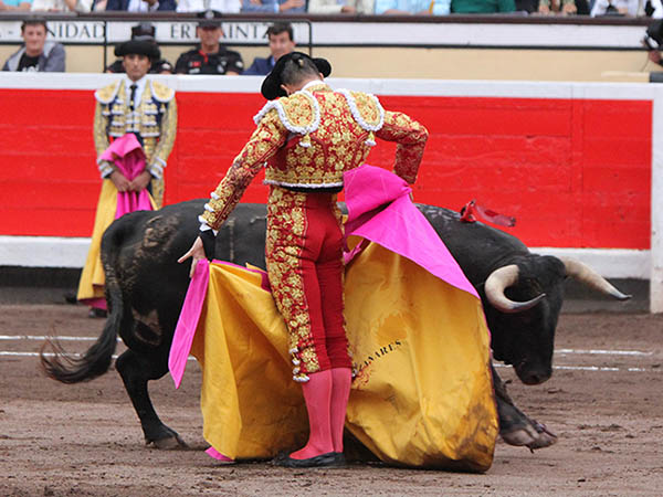 Las chicuelinas de Manzanares