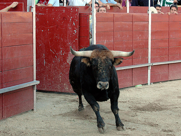 Saliendo al redondel