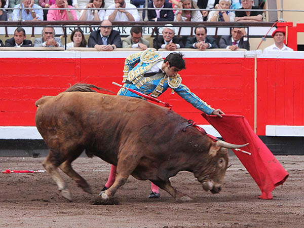 Codicia del ejemplar