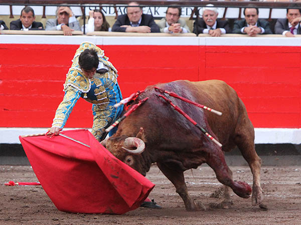 Fijo en la tela de Perera