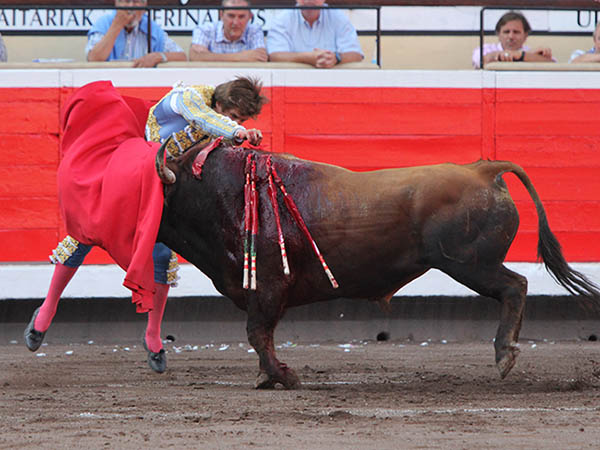 Un ca��n en el brazo