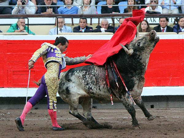 Barriendo el lomo del burraco