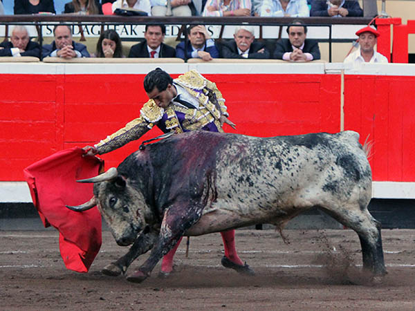 El pit�n roza la franela