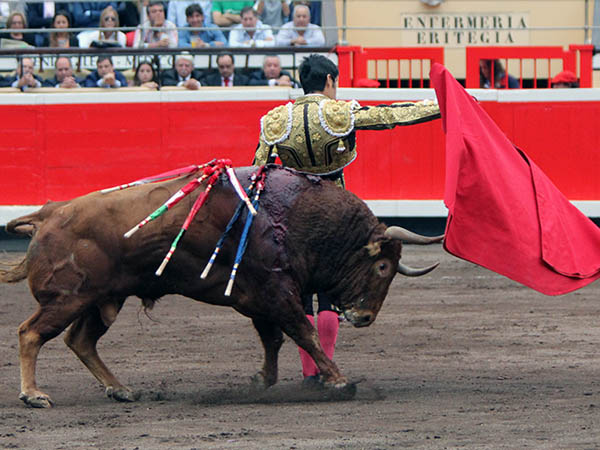 Cambiado por la espalda