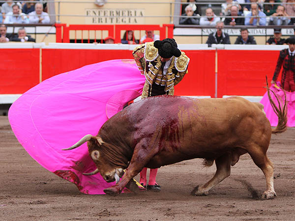 Vuelos de la revolera